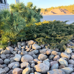 Singeli - Singeli on korkealaatuista, seulottua luonnonkiveä, joka tarjoaa.